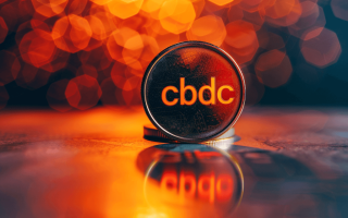 India's CBDC is expected to work offline