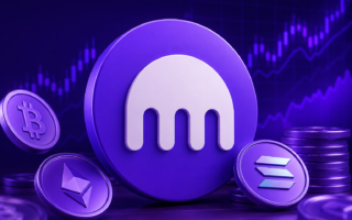 Where can I find transaction history on the Kraken exchange? Mini-guide – Bitcoin.pl